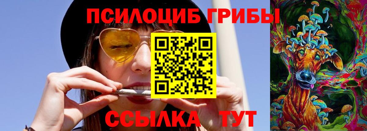Псилоцибиновые грибы мухоморы Курчалой